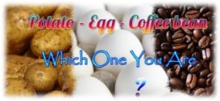 potatoes-eggs-and-coffee-beans1